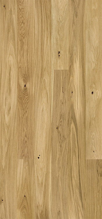 Drevená podlaha Dub Askania Grande, vysokoodolný lak, 14x180x2200